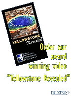Yellowstone Revealed
