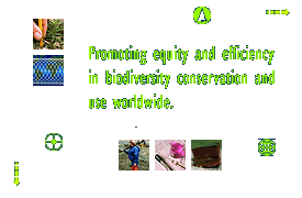 Projects Quote