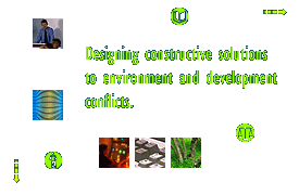 Services Quote