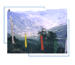 Thimpu
